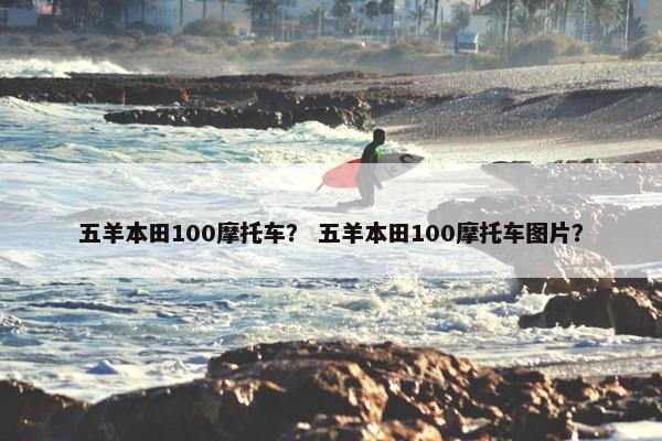 五羊本田100摩托车？ 五羊本田100摩托车图片？