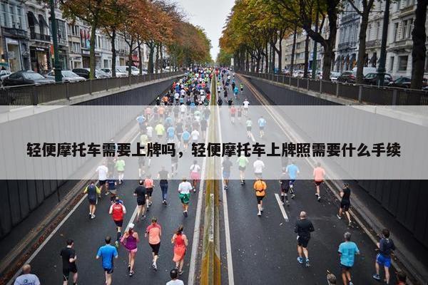 轻便摩托车需要上牌吗，轻便摩托车上牌照需要什么手续