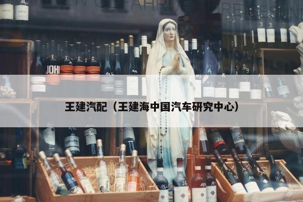 王建汽配（王建海中国汽车研究中心）