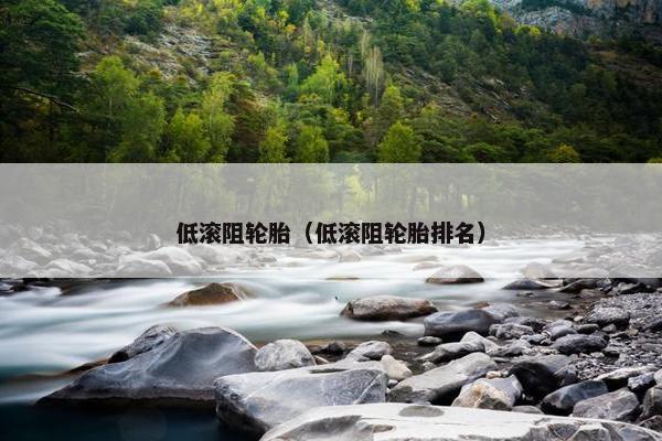 低滚阻轮胎（低滚阻轮胎排名）