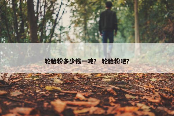 轮胎粉多少钱一吨？ 轮胎粉吧？