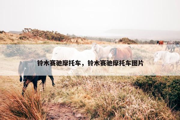 铃木赛驰摩托车，铃木赛驰摩托车图片