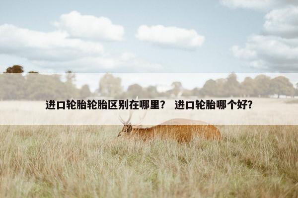 进口轮胎轮胎区别在哪里？ 进口轮胎哪个好？