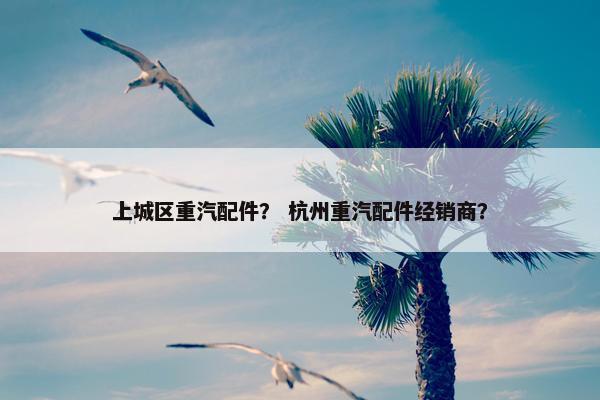 上城区重汽配件? 杭州重汽配件经销商? 上城区重汽配件? 杭州重汽配件经销商?