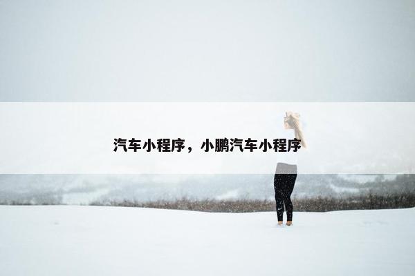 汽车小程序，小鹏汽车小程序