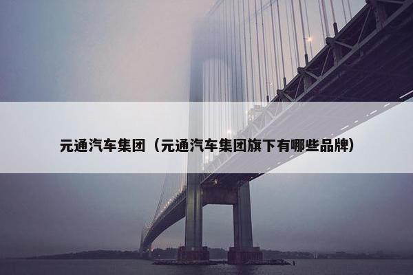 元通汽车集团（元通汽车集团旗下有哪些品牌）