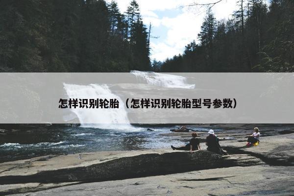 怎样识别轮胎（怎样识别轮胎型号参数）
