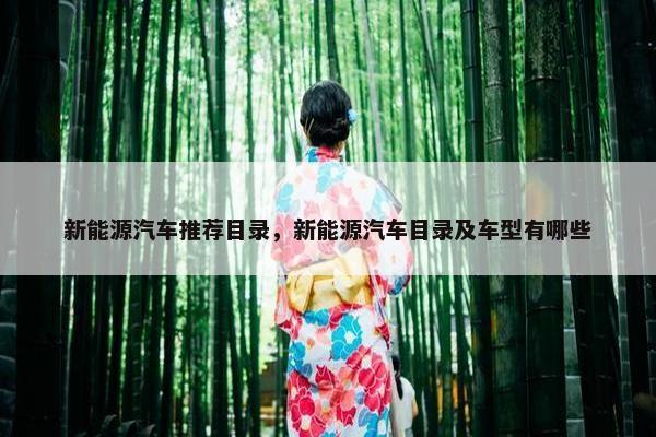 新能源汽车推荐目录，新能源汽车目录及车型有哪些