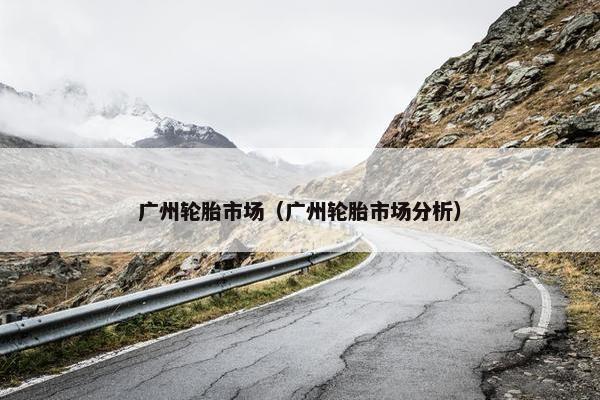 广州轮胎市场（广州轮胎市场分析）