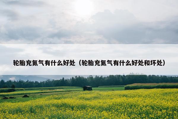 轮胎充氮气有什么好处（轮胎充氮气有什么好处和坏处）