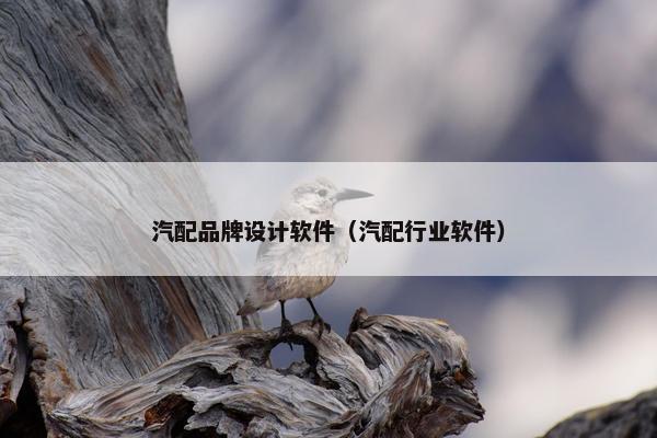 汽配品牌设计软件（汽配行业软件）