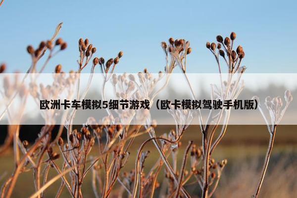 欧洲卡车模拟5细节游戏（欧卡模拟驾驶手机版）
