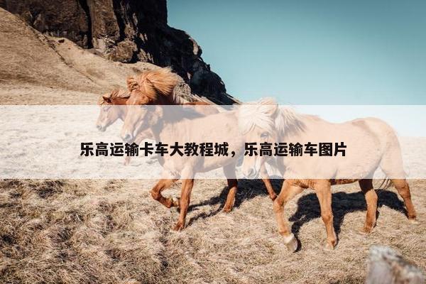 乐高运输卡车大教程城，乐高运输车图片