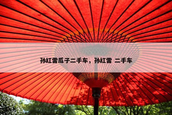 孙红雷瓜子二手车，孙红雷 二手车