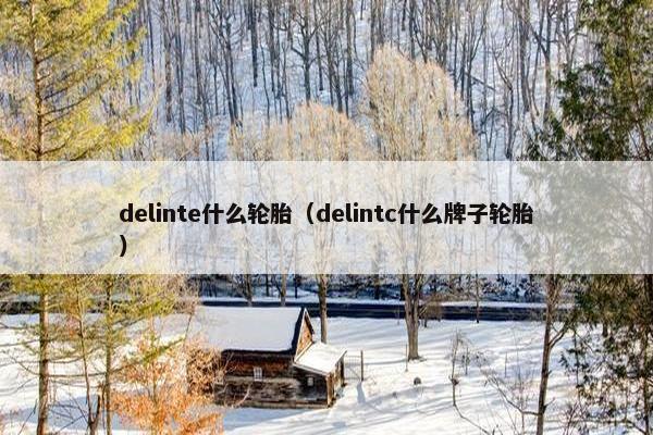 delinte什么轮胎（delintc什么牌子轮胎）