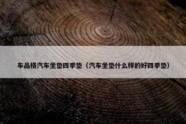 车品格汽车坐垫四季垫（汽车坐垫什么样的好四季垫）