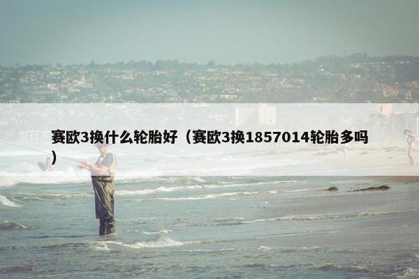 赛欧3换什么轮胎好（赛欧3换1857014轮胎多吗）