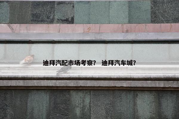 迪拜汽配市场考察？ 迪拜汽车城？