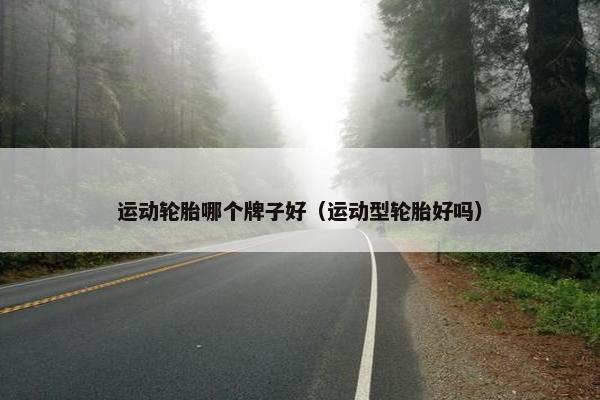 运动轮胎哪个牌子好（运动型轮胎好吗）