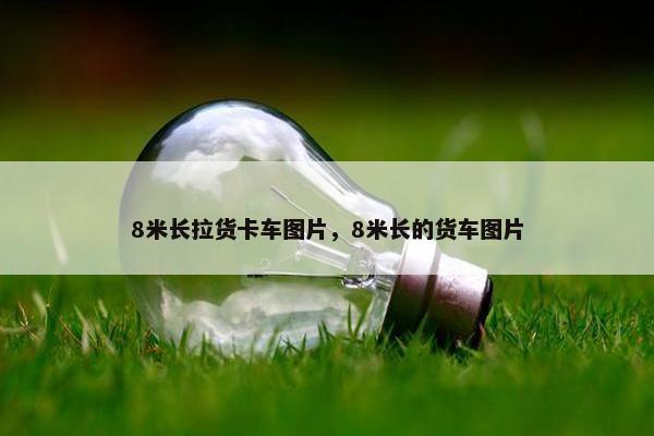 8米长拉货卡车图片，8米长的货车图片