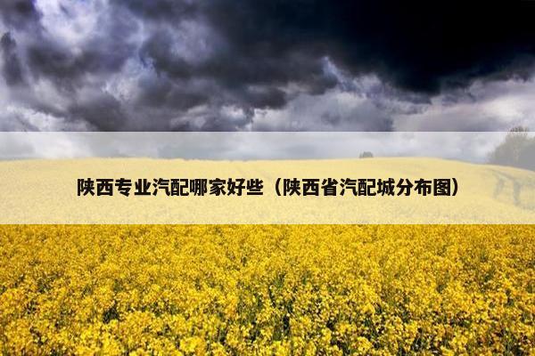 陕西专业汽配哪家好些（陕西省汽配城分布图）