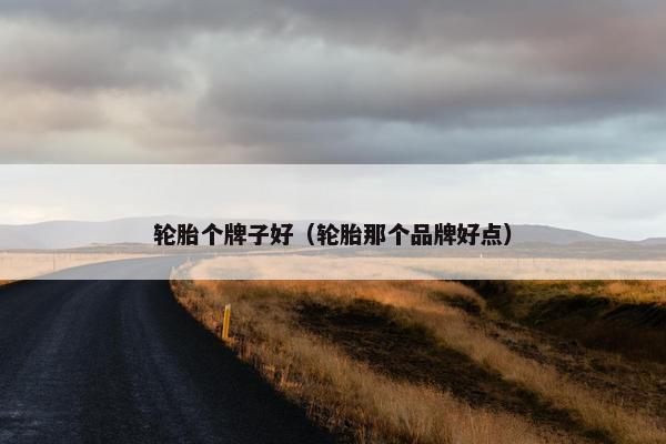 轮胎个牌子好（轮胎那个品牌好点）