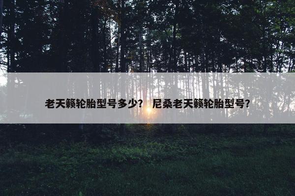 老天籁轮胎型号多少？ 尼桑老天籁轮胎型号？