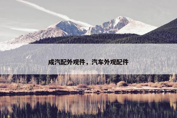 成汽配外观件，汽车外观配件
