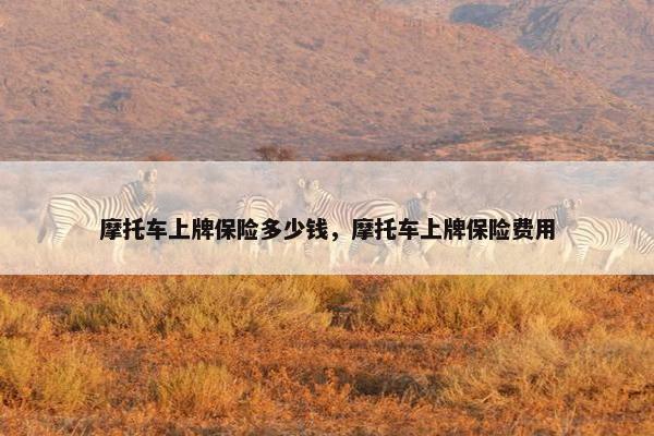 摩托车上牌保险多少钱，摩托车上牌保险费用