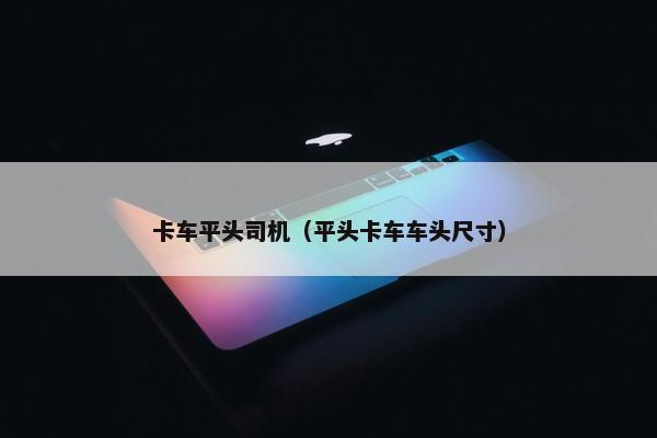 卡车平头司机（平头卡车车头尺寸）