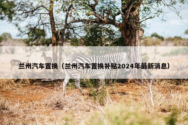兰州汽车置换（兰州汽车置换补贴2024年最新消息）