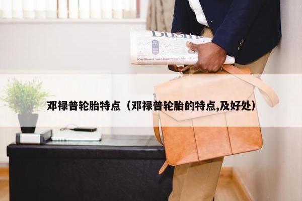 邓禄普轮胎特点（邓禄普轮胎的特点,及好处）