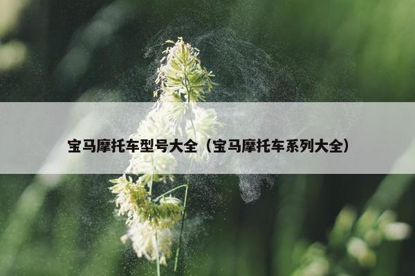 宝马摩托车型号大全（宝马摩托车系列大全）