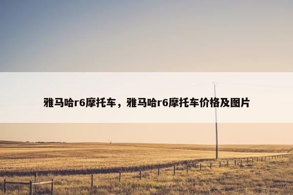雅马哈r6摩托车，雅马哈r6摩托车价格及图片