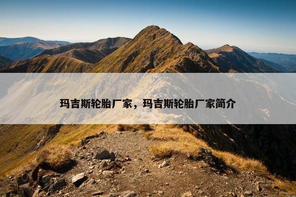 玛吉斯轮胎厂家，玛吉斯轮胎厂家简介
