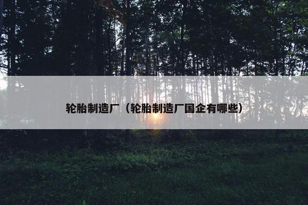 轮胎制造厂（轮胎制造厂国企有哪些）