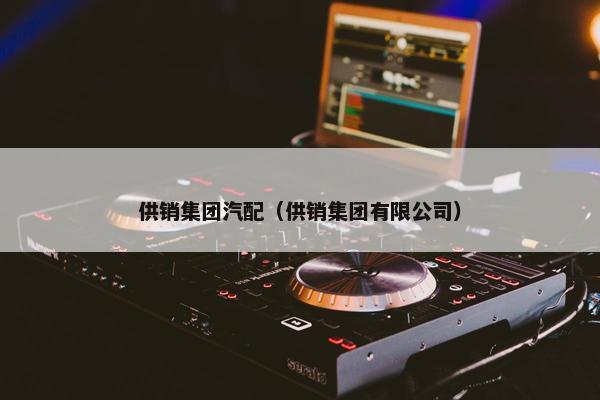 供销集团汽配（供销集团有限公司）
