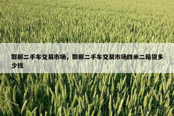 邯郸二手车交易市场，邯郸二手车交易市场四米二箱货多少钱