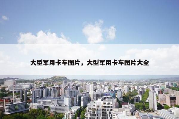 大型军用卡车图片，大型军用卡车图片大全