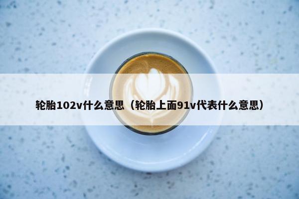 轮胎102v什么意思（轮胎上面91v代表什么意思）
