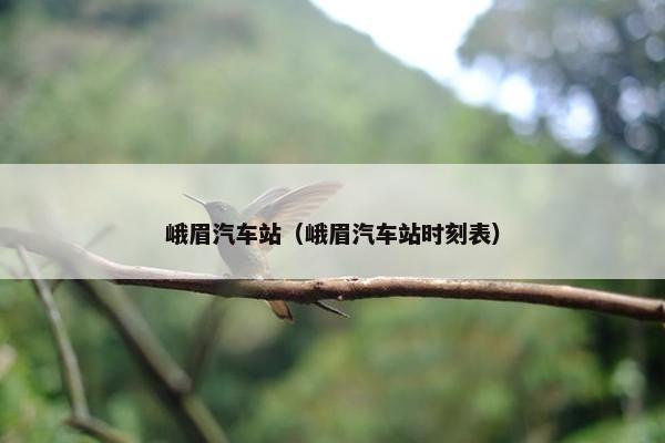 峨眉汽车站（峨眉汽车站时刻表）