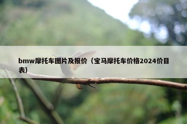 bmw摩托车图片及报价（宝马摩托车价格2024价目表）
