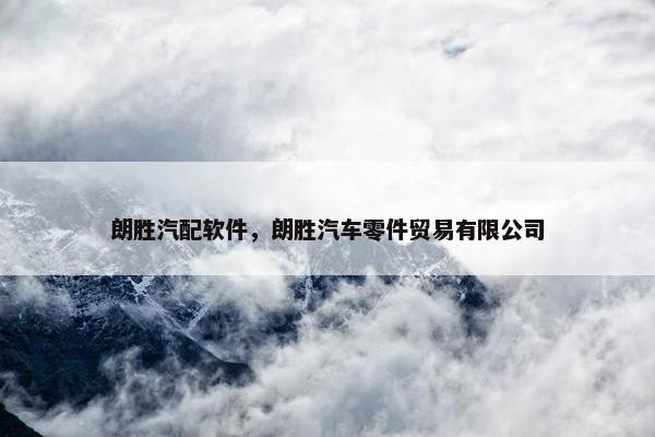 朗胜汽配软件，朗胜汽车零件贸易有限公司