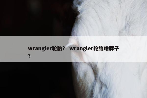 wrangler轮胎？ wrangler轮胎啥牌子？
