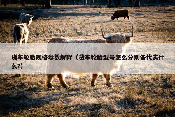 货车轮胎规格参数解释（货车轮胎型号怎么分别各代表什么?）
