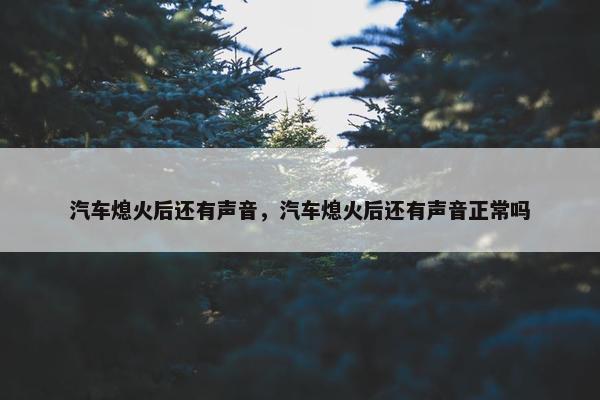 汽车熄火后还有声音，汽车熄火后还有声音正常吗
