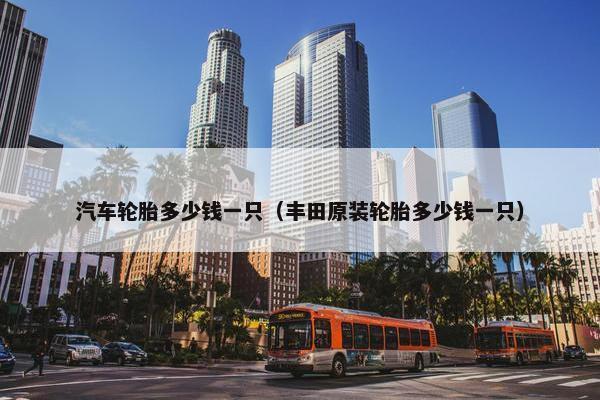 汽车轮胎多少钱一只（丰田原装轮胎多少钱一只）