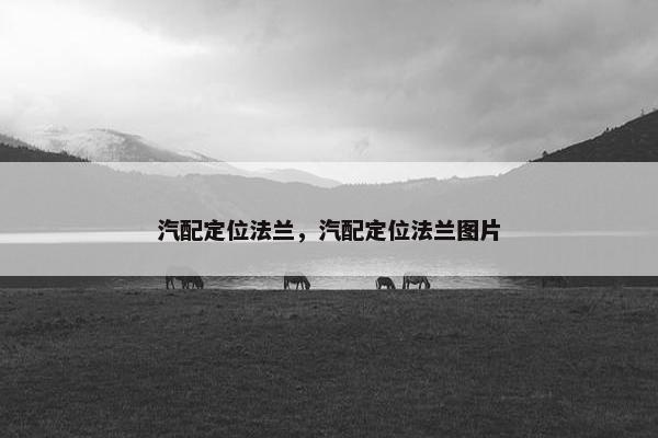 汽配定位法兰，汽配定位法兰图片
