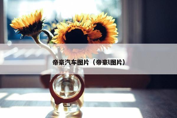 帝豪汽车图片（帝豪l图片）