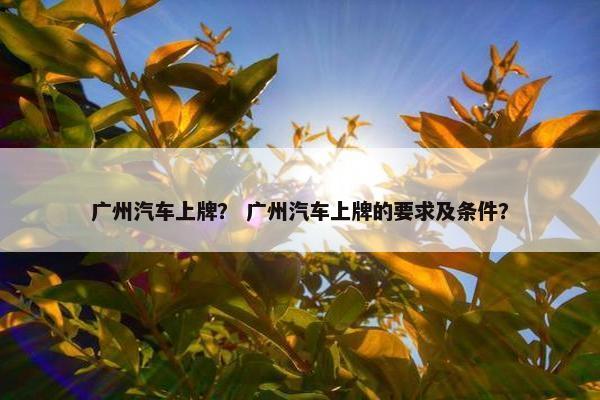 广州汽车上牌？ 广州汽车上牌的要求及条件？